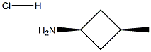 cis-3-Methylcyclobutanamine  hydrochloride CAS#: 1093951-55-3