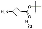 cis-tert-butyl 3-aMinocyclobutanecarboxylate hydrochloride CAS#: 1192549-09-9