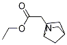 ethyl 2-(2-azabicyclo[2.2.1]heptan-2-yl)acetate CAS#: 1250423-37-0
