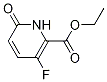ethyl 3-fluoro-6-oxo-1,6-dihydropyridine-2-carboxylate CAS#: 1214332-60-1