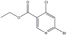 ethyl 6-broMo-4-chloronicotinate CAS#: 1335054-04-0