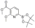 methyl 2-methoxy-6-(4,4,5,5-tetramethyl-1,3,2-dioxaborolan-2-yl)nicotinate CAS#: 1246765-27-4