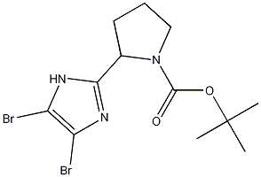 tert-butyl 2-(4,5-dibromo-1H-imidazol-2-yl)pyrrolidine-1-carboxylate CAS#: 1240893-76-8