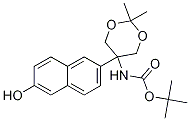 tert-butyl 5-(6-hydroxynaphthalen-2-yl)-2,2-diMethyl-1,3-dioxan-5-ylcarbaMate CAS#: 1206676-79-0