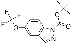 tert-butyl 5-(trifluoroMethoxy)-1H-indazole-1-carboxylate CAS#: 1346521-27-4