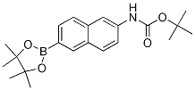 tert-butyl 6-(4,4,5,5-tetraMethyl-1,3,2-dioxaborolan-2-yl)naphthalen-2-ylcarbaMate CAS#: 1312611-41-8