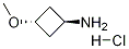 trans-3-MethoxycyclobutanaMine hydrochloride CAS#: 1363381-00-3