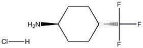trans-4-Trifluoromethyl-cyclohexylamine hydrochloride CAS#: 1218943-32-8