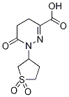1-(1,1-Dioxo-tetrahydro-1lambda*6*-thiophen-3-yl)-6-oxo-1,4,5,6-tetrahydro-pyridazine-3-carboxylic a CAS#: 732291-88-2