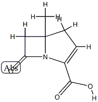 1-Azabicyclo[3.2.0]hept-2-ene-2-carboxylicacid,5-methyl-7-oxo-(9CI) CAS#: 763878-72-4