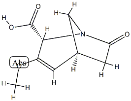 1-Azabicyclo[3.2.1]oct-3-ene-2-carboxylicacid,3-methoxy-7-oxo-,(1R,2S,5R)-rel-(9CI) CAS#: 717132-84-8