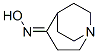1-Azabicyclo[3.2.2]nonan-4-one,oxime(9CI) CAS#: 763863-99-6