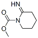 1-Piperidinecarboxylicacid,2-imino-,methylester(9CI) CAS#: 757916-45-3