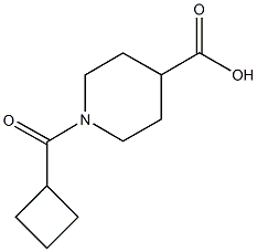 1-(cyclobutylcarbonyl)piperidine-4-carboxylic acid CAS#: 700815-60-7