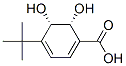 1,3-Cyclohexadiene-1-carboxylic acid, 4-(1,1-dimethylethyl)-5,6-dihydroxy-, (5S,6R)- (9CI) CAS#: 775267-87-3