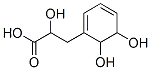 1,3-Cyclohexadiene-1-propanoic acid, alpha,5,6-trihydroxy- (9CI) CAS#: 78368-38-4