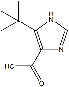 1H-Imidazole-4-carboxylicacid,5-(1,1-dimethylethyl)-(9CI) CAS#: 714273-88-8