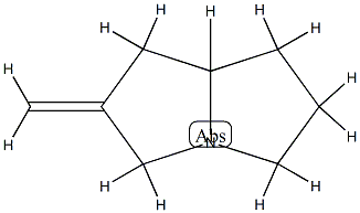 1H-Pyrrolizine,hexahydro-2-methylene-(9CI) CAS#: 785034-65-3