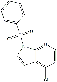 1H-Pyrrolo[2,3-b]pyridine, 4-chloro-1-(phenylsulfonyl)- CAS#: 744209-63-0