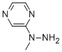 2-(1-METHYLHYDRAZINO)PYRAZINE CAS#: 76319-95-4