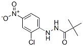 2'-(2-chloro-4-nitrophenyl)-2,2-dimethylpropionohydrazide CAS#: 72791-01-6