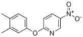2-(3,4-Dimethyl-phenoxy)-5-nitro-pyridine CAS#: 76893-52-2