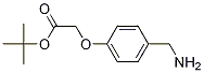 2-[4-(Aminomethyl)phenoxy]acetic acid tert-butyl ester CAS#: 720720-14-9