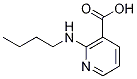 2-(Butylamino)nicotinic acid CAS#: 74611-53-3