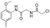 2-CHLORO-N-(2-[(2-METHOXY-5-METHYLPHENYL)AMINO]-2-OXOETHYL)ACETAMIDE CAS#: 749920-76-1