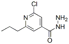 2-Chloro-6-propylisonicotinic hydrazide CAS#: 76594-21-3