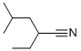 2-ETHYL-4-METHYLPENTANENITRILE CAS#: 79509-80-1