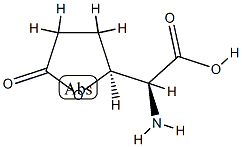 2-Furanacetic acid, alpha-aminotetrahydro-5-oxo-, (alphaR,2R)-rel- (9CI) CAS#: 714194-19-1