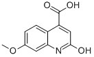 2-HYDROXY-7-METHOXY-QUINOLINE-4-CARBOXYLIC ACID CAS#: 72784-23-7