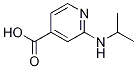 2-(Isopropylamino)isonicotinic acid CAS#: 77314-51-3