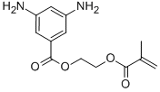 2-(Methacryloyloxy)ethyl 3,5-diaminobenzoate, 99% CAS#: 76067-81-7