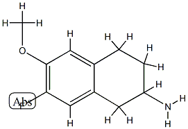 2-Naphthalenamine,7-fluoro-1,2,3,4-tetrahydro-6-methoxy-(9CI) CAS#: 745780-17-0