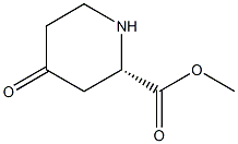 2-Piperidinecarboxylicacid,4-oxo-,methylester,(S)-(9CI) CAS#: 761360-22-9