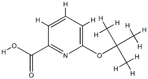 2-Pyridinecarboxylicacid,6-(1,1-dimethylethoxy)-(9CI) CAS#: 717105-06-1