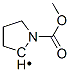2-Pyrrolidinyl, 1-(methoxycarbonyl)- (9CI) CAS#: 774581-10-1