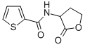 2-Thiophenecarboxamide, N-(2-oxotetrahydro-3-furyl)- CAS#: 77694-38-3