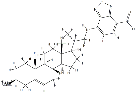 22-NBD CHOLESTEROL CAS#: 78949-95-8