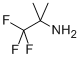 2,2,2-TRIFLUORO-1,1-DIMETHYL-ETHYLAMINE CAS#: 812-18-0