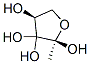 2,3,3,4(2H)-Furantetrol,dihydro-2-methyl-,(2R,4S)-(9CI) CAS#: 791810-94-1