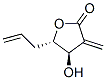 2(3H)-Furanone, dihydro-4-hydroxy-3-methylene-5-(2-propenyl)-, (4R,5S)- (9CI) CAS#: 770744-20-2