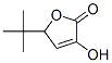 2(5H)-Furanone, 5-(1,1-dimethylethyl)-3-hydroxy- (9CI) CAS#: 746639-69-0
