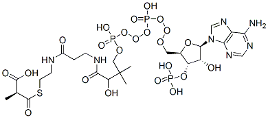 (2S)-2-[2-[3-[[4-[[[(2R,3S,4R,5R)-5-(6-aminopurin-9-yl)-4-hydroxy-3-phosphonooxy-oxolan-2-yl]methoxy-hydroxy-phosphoryl]oxy-hydroxy-phosphoryl]oxy-2-hydroxy-3,3-dimethyl-butanoyl]amino]propanoylamino]ethylsulfanylcarbonyl]propanoic acid CAS#: 73173-91-8
