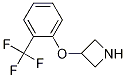 3-[2-(Trifluoromethyl)phenoxy]azetidine CAS#: 76263-24-6