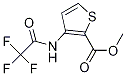3-(2,2,2-trifluoro-acetylaMino)-thiophene-2-carboxylicacidMethylester CAS#: 79128-68-0