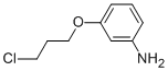 3-(3-CHLORO-PROPOXY)ANILINE CAS#: 79668-76-1