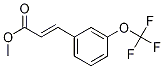 3-[3-(Trifluoromethoxy)phenyl]-2-propenoic acid methyl ester CAS#: 705250-76-6